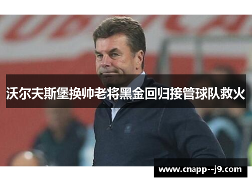 沃尔夫斯堡换帅老将黑金回归接管球队救火 沃尔夫斯堡换帅老将黑金回归接管球队救火