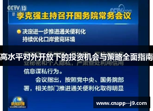 高水平对外开放下的投资机会与策略全面指南