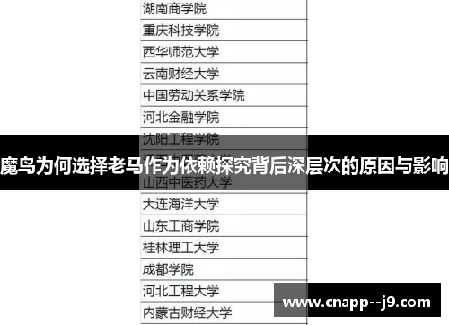 魔鸟为何选择老马作为依赖探究背后深层次的原因与影响 魔鸟为何选择老马作为依赖探究背后深层次的原因与影响