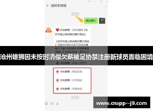 沧州雄狮因未按时清偿欠薪被足协禁注册新球员面临困境 沧州雄狮因未按时清偿欠薪被足协禁注册新球员面临困境